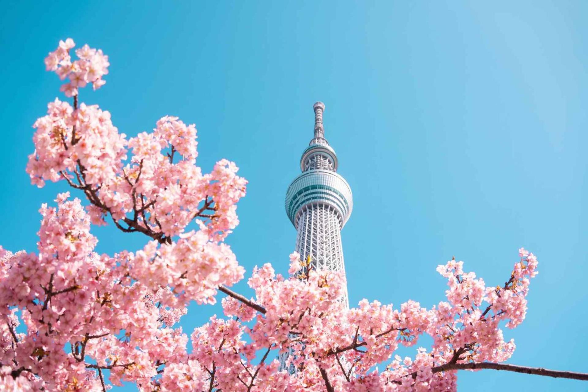 Fl Hotel Asakusa طوكيو المظهر الخارجي الصورة